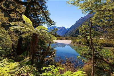 Fjordland Nationalpark mit grüner Landschaft